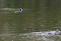04 01 17_5605_edited-1